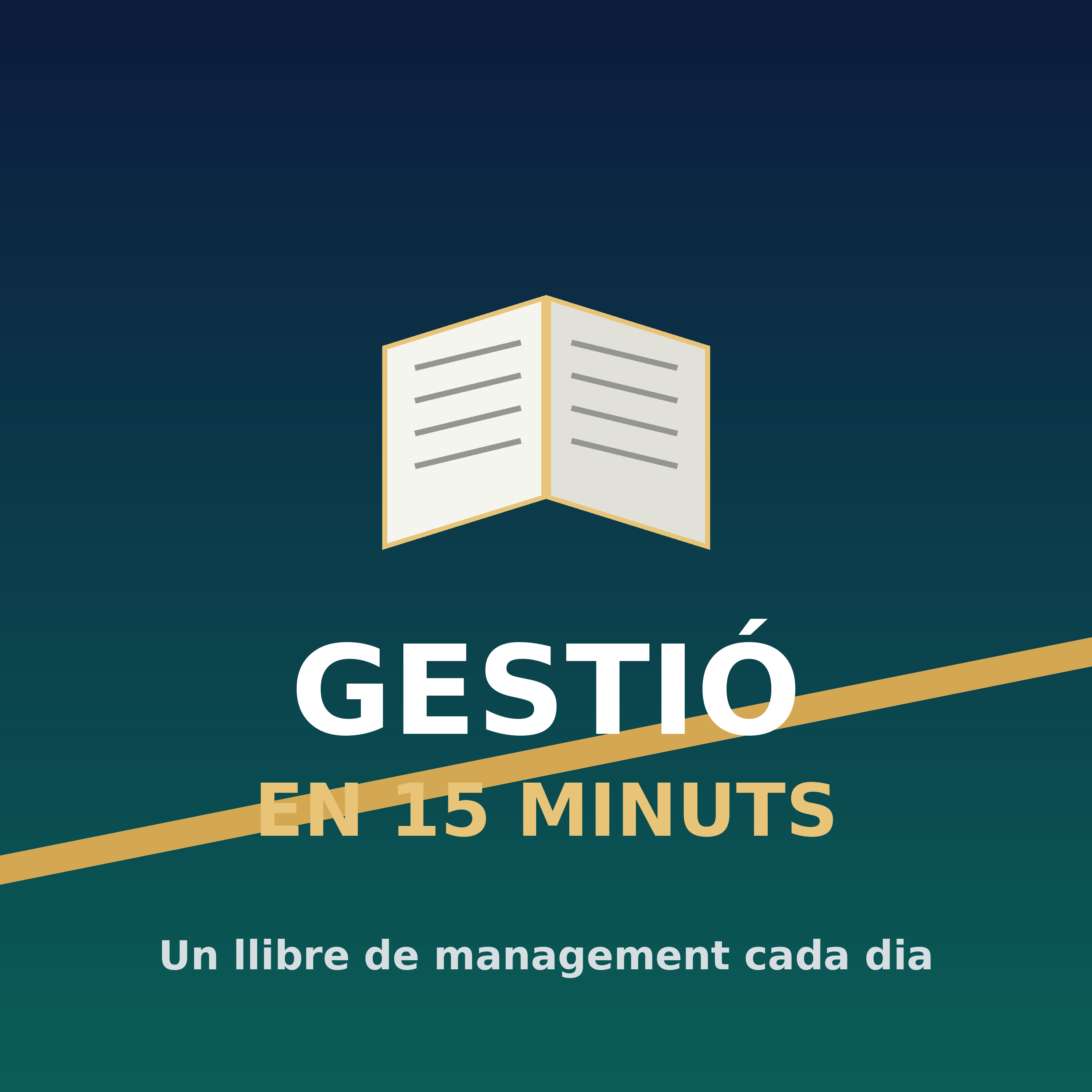 Portada del podcast Gestió en 15 Minuts